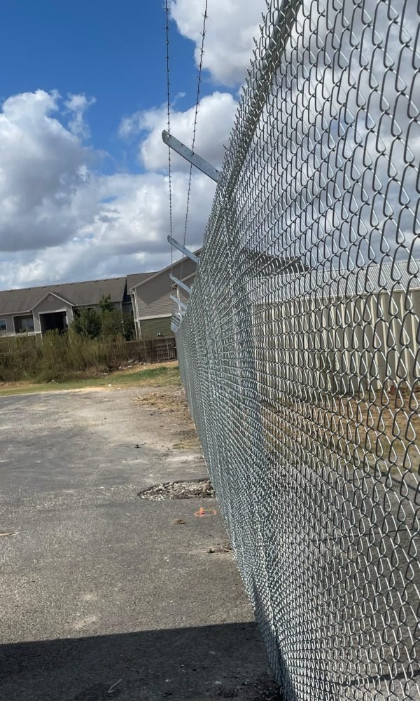 WhatsApp Image 2025-11-19 at 10.43.28 AM